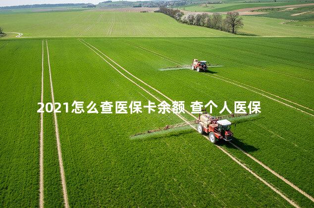 2021怎么查医保卡余额 查个人医保卡余额查询